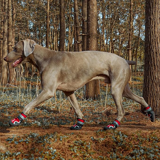 Dog Shoes for Large Dogs, Medium Dog Boots & Paw Protectors for Winter Snowy Day, Summer Hot Pavement,Waterproof in Rainy Weather,Outdoor Walking,Indoor Hardfloors Anti Slip Sole(Red, 3# (XS))