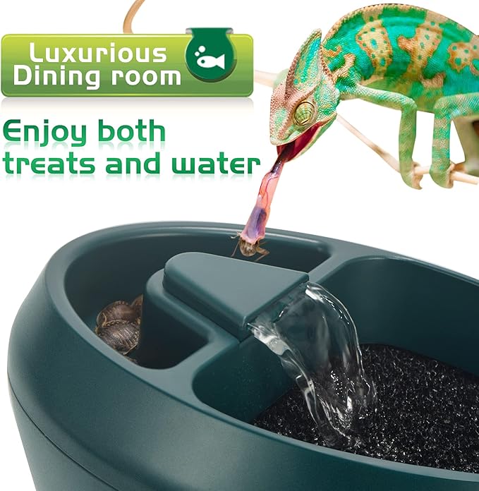 Reptile Chameleon Cantina with Snacks Trough, Drinking Fountain Water Dripper for Amphibians Insects Lizard Turtle Snake Spider Frog Gecko, Comes with Two Pumps (One for Replacement)