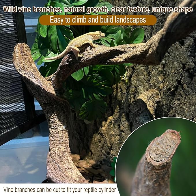 Reptile Decor Natural Forest Branch Terrarium Habitat Driftwood Decoration Lizard Climbing Tree Branch for Bearded Dragon Gecko Snake Frog Chameleon Spider 4PCS