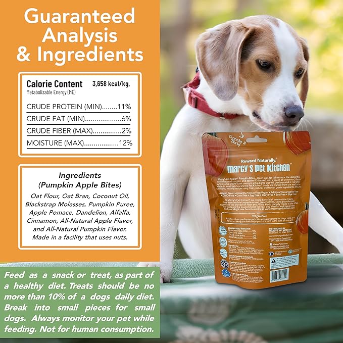 Marcy's Pet Kitchen- Diabetic All Natural, Crunchy, Pumpkin Biscuit Dog Treats - No Preservatives-Crunchy Approved- Vegan, Gluten Free, Human Grade, Made in The USA, Healthy Pumpkin Dog Treats