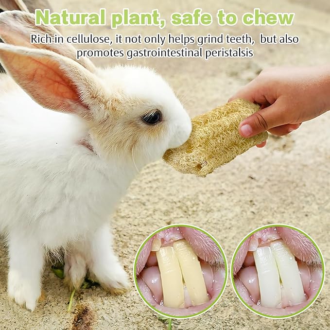 BNOSDM Bunny Chew Toys Natural Loofah 6PCS Bunny Teeth Grinding Toy Rabbit Fiber-Rich Treats Pet Entertainment Accessories for Rabbits Chinchillas Guinea Pig（XL）