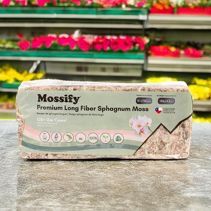 Mossify Premium Sphagnum Moss for Plants 500g, 1.1 lbs – Long Fiber Moss for Plants Indoor, Orchids, Terrariums, Gardening, Reptiles – Moisture Plant Moss for Propagation, Soil & Habitat Bedding
