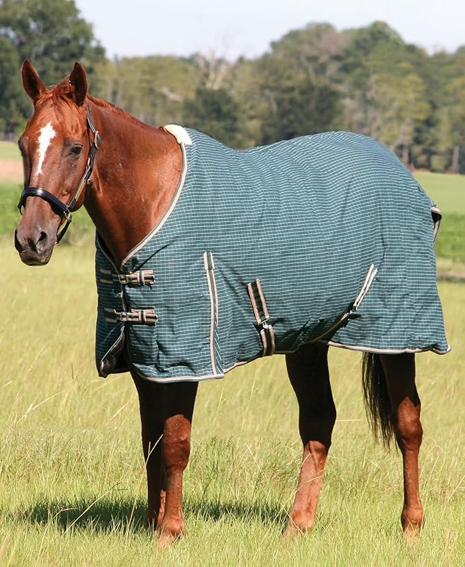 Jeffers Equine Basic Canvas Horse Blanket, 66" – Water Resistant Turnout Blanket for Horses, Pony, Draft – Breathable, Adjustable Straps, Tail Flap, Shoulder Gussets, Barn Gear - Green Tan Check