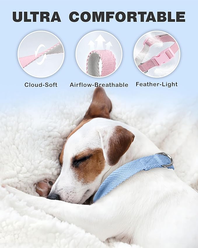 Dynmeow Soft and Breathable Cotton Dog Collar, Durable Adjustable Boy Pet Collar with Quick-Release Buckle, Lightweight for Sensitive Skin for Puppies and Extra-Small Dogs, Light-Blue, Xs
