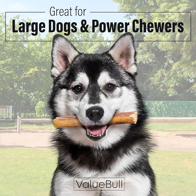 ValueBull Bully Sticks for Large Dogs, Jumbo 6 Inch, 10 Count - All Natural, Grass Fed, Single Ingredient, Long Lasting Dog Treats for Aggressive Chewers