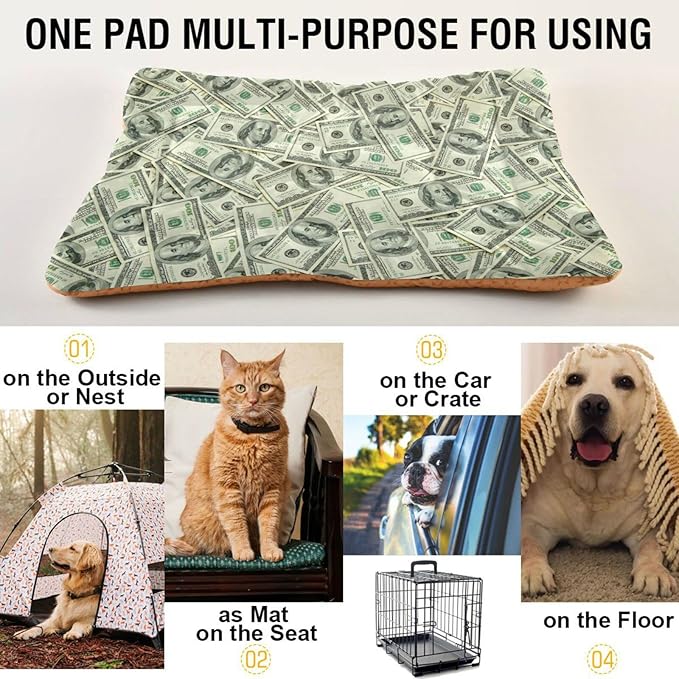 Money Print Pet Bed Cute Dog Bed Mat Absorbing Non Slip Pad Pet Sleeping Mat for Small, Medium, and Large Dogs Puppy Cat 24 in x 18 in
