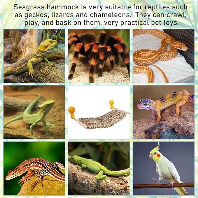 VCEPJH Bearded Dragon Hammock Large Reptile Window Perch Seagrass Climbing Tank Accessories Lizard Lounger Bed with Powerful Suction Cups Bearded Dragon Toys for Gecko Chameleon Basking (19.68 * 7.87)