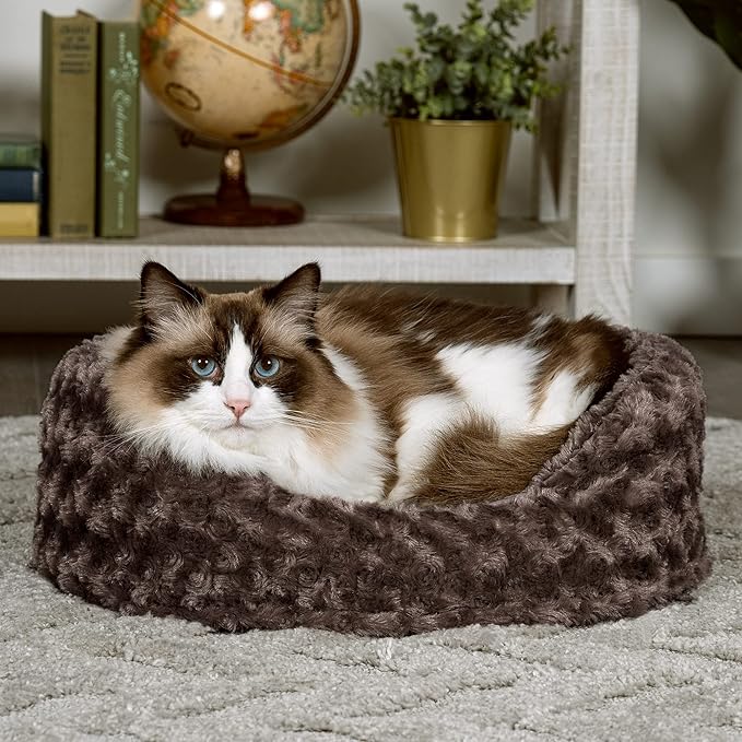 Furhaven Dog Bed for Small Dogs w/Removable Washable Cover & Pillow Cushion Insert, for Dogs Up to 12 lbs - Ultra Plush Faux Fur Oval Lounger - Chocolate, Small (Pack of 3)