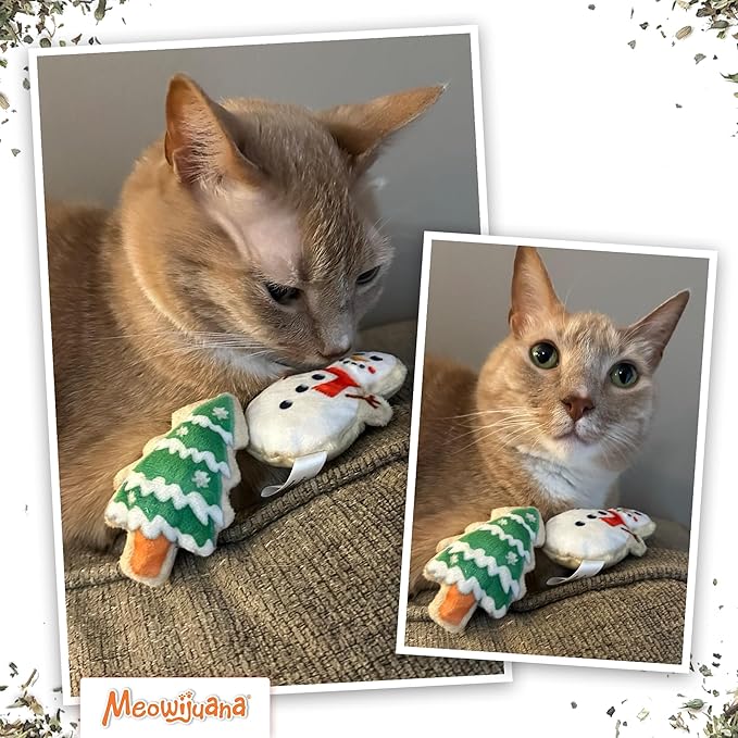 Meowijuana Get Nogged | Eggnog & Get Frosted Sugar Cookies | Refillable Interactive Catnip Toy | Catnip Grown in North America