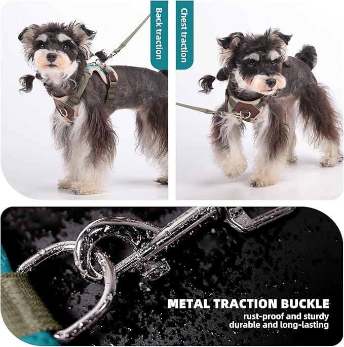 Small Dog Harness and Leash Set, Breathable Mesh Puppy Harness, Adjustable Dog Harness for Small Medium Large Dogs, No-Pull Pet Harness for Daily Walking (Lakeblue, Large)