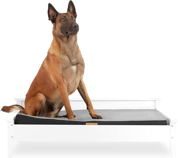 Wooden Dog Bed with Water-Resistant Mattress, Larget to Extra Large Elevated Pet Bed with Calming Pet Mattress, Greenguard Gold Certified, Modern Dog Couch, Winston - TailZzz