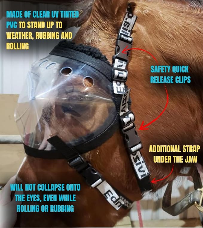 Recovery Vizor, (Size Pony - Clear UV Tint) Medical/Preventative Horse Eye (Goggle) Protection for Uveitis/Injury/Scratch or Corneal Ulcer, Infection, Blindness, Photsensitivity