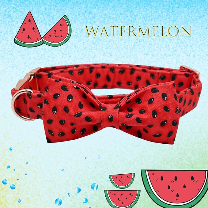 Lionheart glory Dog Collar, Watermelon Dog Collar with Bow, Summer Dog Bowtie Collar Cute Pet Collar Gift for X-Small Puppy and Cat