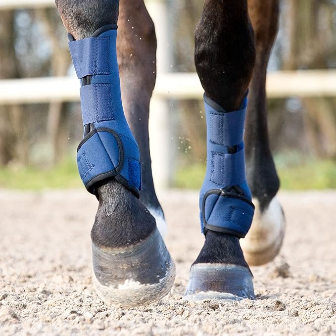 HORZE Brushing Splint Boots for Horses (Pair) - Durable Neoprene, Secure Closure, Lightweight - Blue - L