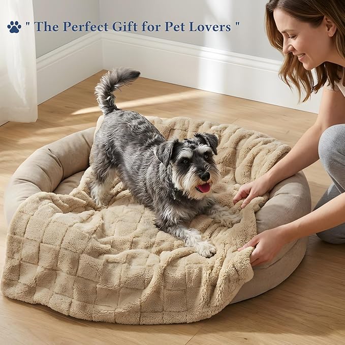 David's Home Large Dog Blankets Washable Pet Bed Cover, Soft Fluffy Fuzzy Cat Puppy Blanket with Premium 300GSM Fleece for Pet Kitten Doggy, Pale Khaki, 50x60IN