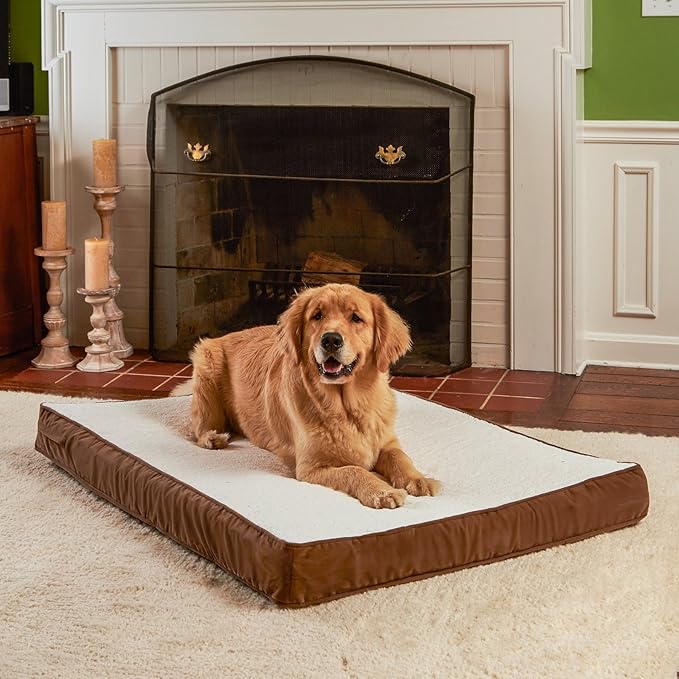 Happy Hounds Oscar Rectangle Orthopedic Foam Sherpa Dog Bed, Large (48 x 36 in.), Mocha