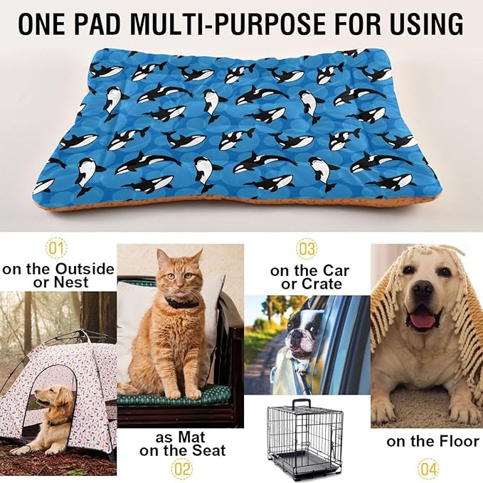 Pet Bed Orca Killer Whale Dog Bed Mat Absorbing Non Slip Pad Pet Sleeping Mat for Small, Medium, and Large Dogs Puppy Cat 36 in x 24 in