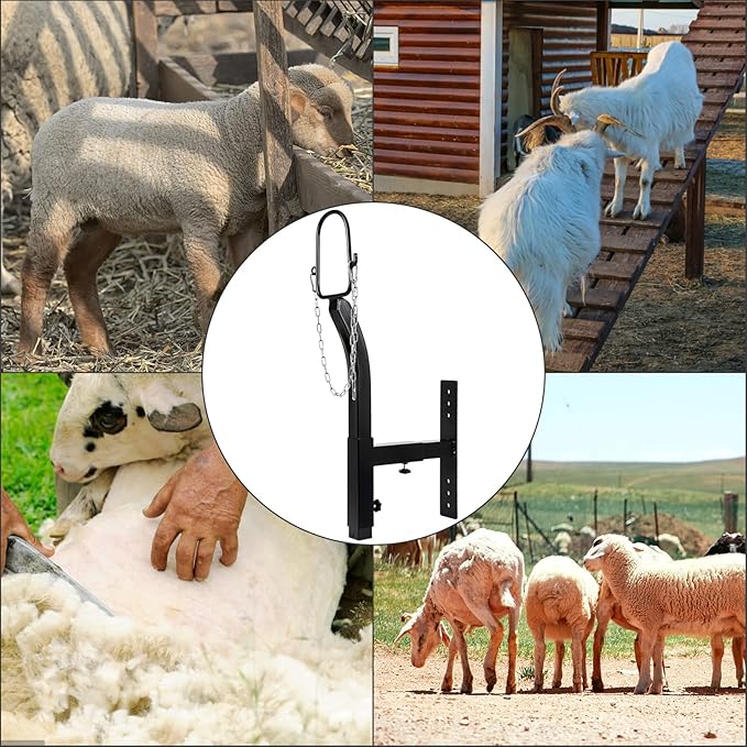 Livestock Stand 9.8 inch Height Adjustable, Goat Stand 5.9 inch Length Adjustable，Metal Livestock Stand Attachment Nose Loop Headpiece, Trimming Stand for Goat & Sheep.