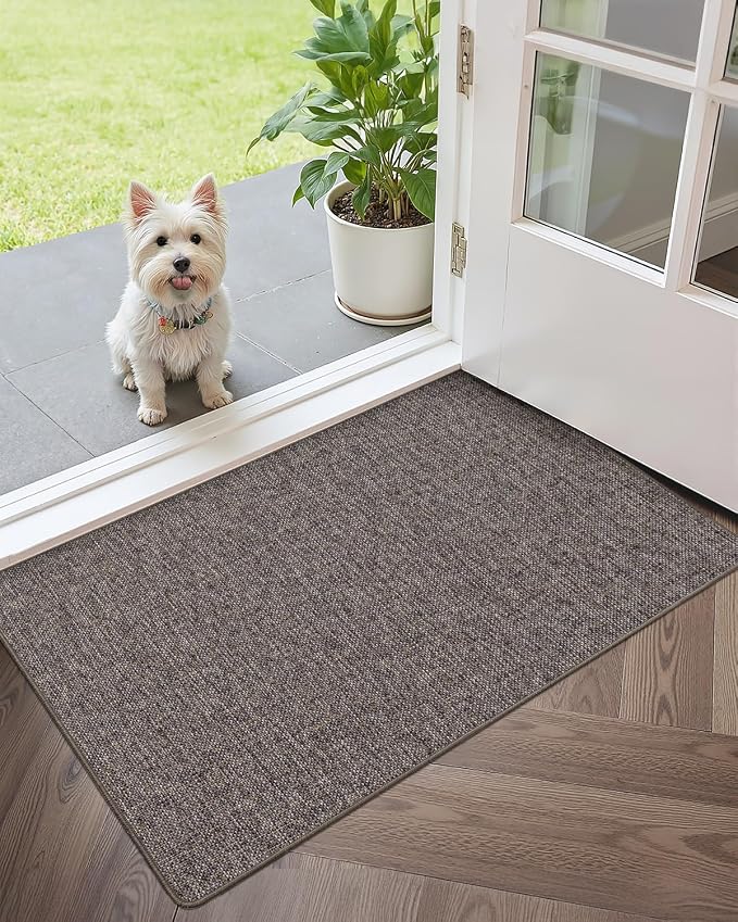 Color&Geometry Ultra Thin Indoor Door Mat 32"x48", Non Slip Rubber Backed Dirt