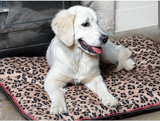 Shires Digby & Fox Waterproof Dog Bed, Leopard