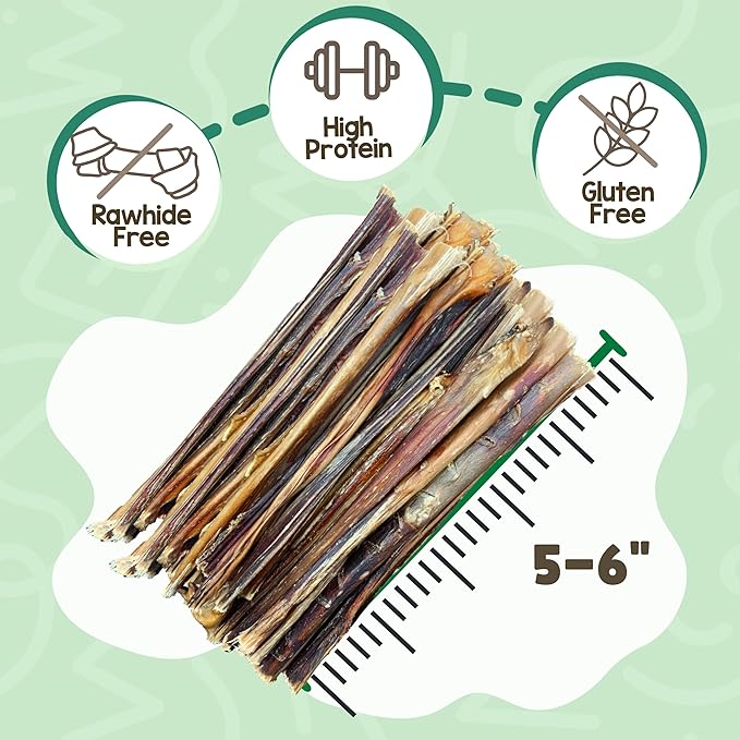 Nature Gnaws Extra Thin Pork Bully Sticks for Small Dogs 5-6" (15 Count) - Long Lasting for Light Chewers and Puppies - Natural Bacon Dog Chew Treats