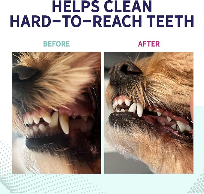 Health Extension Probiotic Dental Bones for Dogs, 8 Medium Bones – Supports Dental Health, Promotes Digestive Health, Ideal for Puppy Training (Pack of 2)
