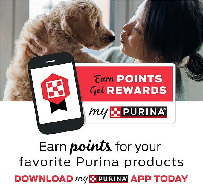 Purina T-Bonz Filet Mignon Flavor Steak Shaped Treats for Dogs - 45 oz. Pouch