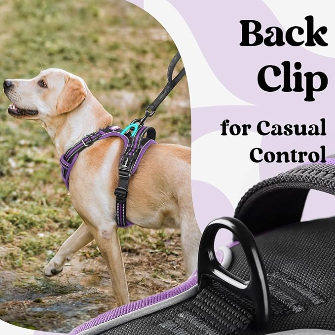 rabbitgoo Dog Harness Medium Sized, No Pull Pet Harness with 3 Buckles, Adjustable Soft Padded Vest with Control Handle, Walking Reflective Pet Vest for Medium Dogs, Black & Purple, M