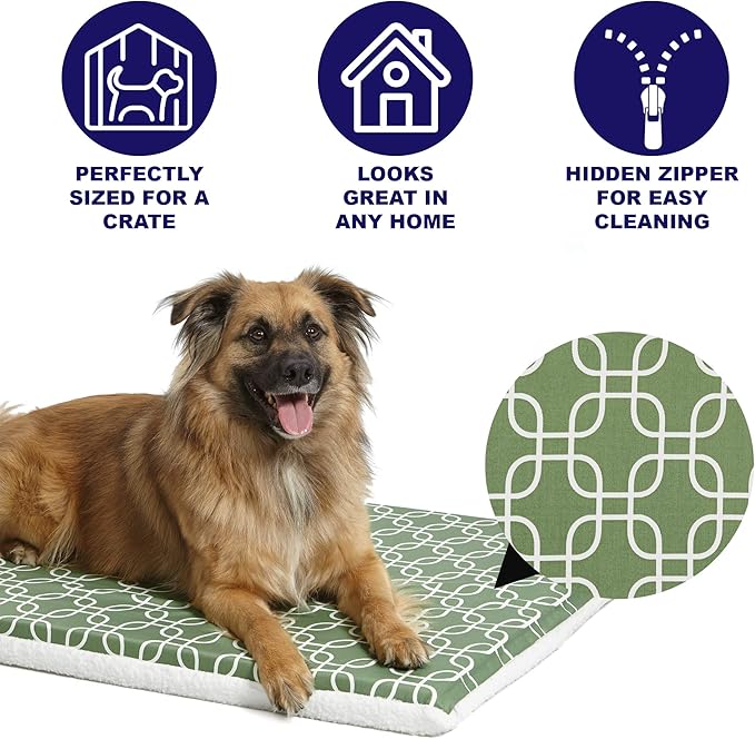 MidWest Homes for Pets Quiet Time Teflon Defender Dog Beds; Pet Beds Designed to Fit Folding Metal Dog Crates, Green & White Geometric Pattern, 42-Inch