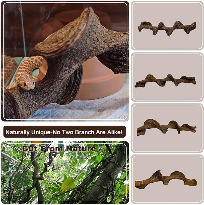 BNOSDM 2PCS Natural Reptile Climbing Branches Decor,1.8-2.2" Thick Natural Snake Climbing Forest Wood with Plant Leaf Decor,Lizard Forest Branch,Geckos Tank Tree Trunk Accessories for Bearded Dragons