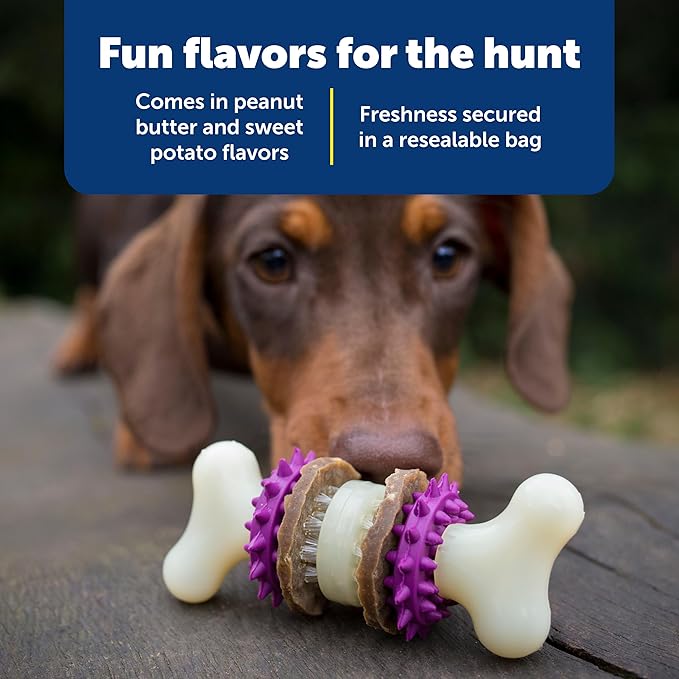 PetSafe Busy Buddy Natural Rawhide Rings - Long-Lasting Chew Refills - Quality Ingredients - Original Rawhide Flavor - Size B - 16- Count, (Pack of 2)