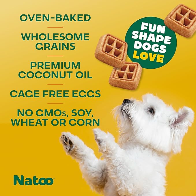 NATOO Dog Treats for Small Dogs & Puppies, Crunchy Biscuits Oats Banana and Honey, Natural Dog Treats, Rich in Omega 6, Prebiotics and Fiber, Antioxidants for Immunity (8oz)