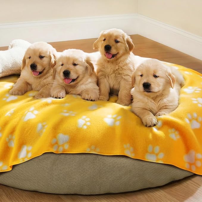 LINENLUX Cute Dog Blanket for Small Medium Dogs 6-Pack Soft Stretchy Fleece Blankets for Pet Cat Puppy Warm Wrinkle-Resistant Throw for Couch Bed Outdoor Yellow 40x31 inch (Pack of 6)