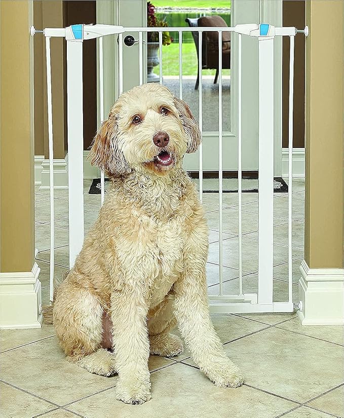 MidWest Homes for Pets 39 Inches Tall Walk-Though Steel Pet Gate, Pressure Mounted Dog Gate with Glow Strip Measures 29-38 Inches Wide & Includes Two 3-Inch-Wide Extensions, White