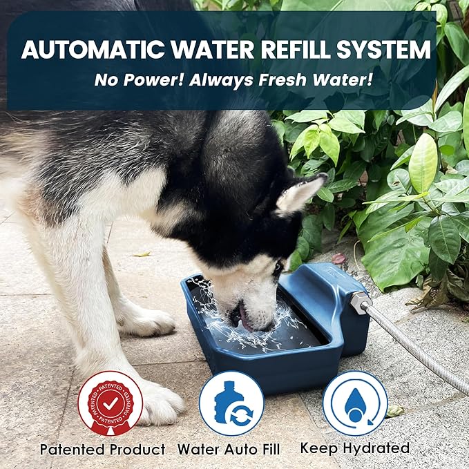 Automatic Water Dispenser for Dogs/Cats, 1 Gallon Auto-Fill Dog Water Bowl Dispenser for Indoor/Outdoor, Large Water Feeder for Pets/Livestock, BPA-Free, Wide Mouth, Fits GHT 3/4" Faucet, Blue