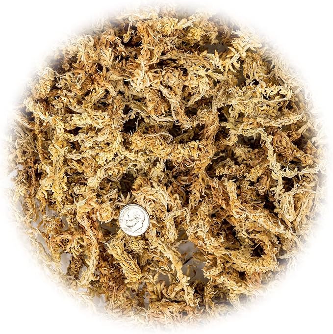 Premium New Zealand Sphagnum Moss by Gardenera - Organic Hand Mixed Long Fibered Sphagnum Moss Orchid - 5 Quart