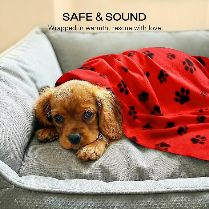 LINENLUX Cute Dog Blanket for Small Medium Dogs 6-Pack Soft Stretchy Fleece Blankets for Pet Cat Puppy Warm Wrinkle-Resistant Throw for Couch Bed Outdoor Red 31x24 inch (Pack of 6)
