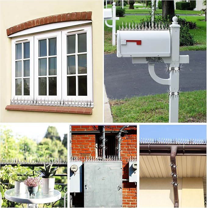 Bird Spikes 65 FT Stainless Steel Bird Deterrent, Snake and Raccoon Deterrent, Squirrel Baffles for Bird Feeders, Anti Climb Spikes, Prevent Squirrels from Stealing The Bird Food