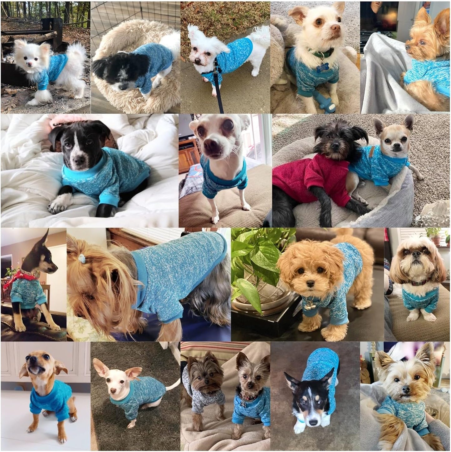 Jecikelon Dog Clothes Dogs Sweater Soft Puppies Clothing Winter Puppy Sweaters Warm Outfit for Dogs Small XXS XS Cat Apparel (X-Large, Light Blue)