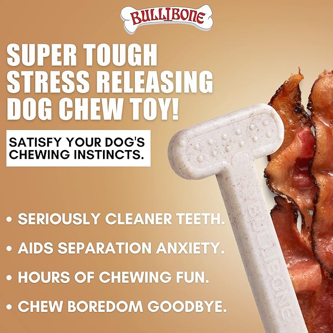 Bullibone Nylon Dog Chew Toy for Aggressive Chewers - Dental Hygiene Bone with Bacon Flavor, Durable Tough Chew Toys for Small Dogs, Indestructible Dog Bone - 2 Pack