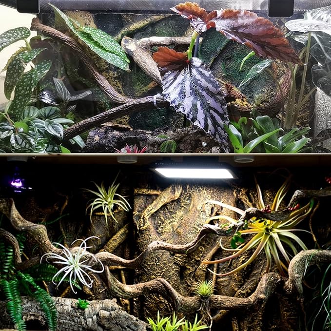 BNOSDM Reptile Forest Climbing Branch Decor Crested Gecko Climb Wood Natural Branches Tree for Snake Frog Chameleon Spider Bearded Dragon Terrarium Habitat Tank Accessories,4PCS