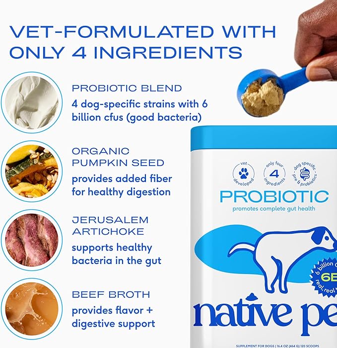 Native Pet Probiotics for Dogs - Dog Probiotics Powder for Digestive Health, Gut Support, & Immune Boost – Vet-Formulated Powder for Maximum Potency with Digestive Enzymes & Prebiotics - 120 Scoops