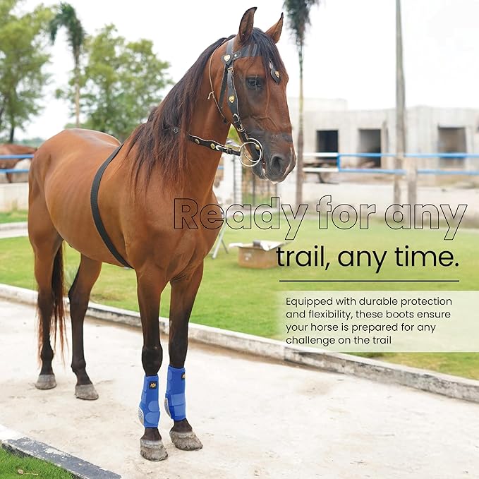 RS Premium Design Gold Line Horse Boots | Comfortable, Protective & Shock Absorber | Sport Boots for Horses Best for Jump Training | Ok Fabric 1682D Provides Ultimate Flexibility
