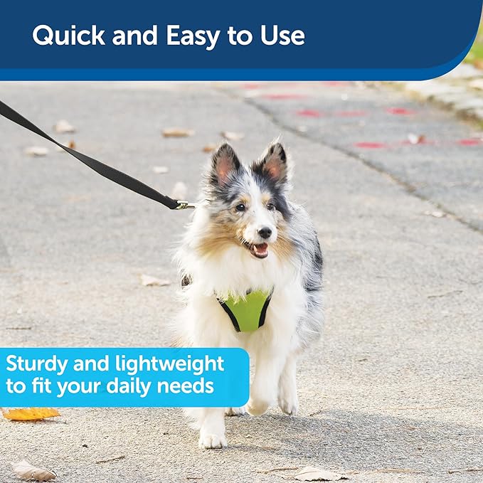 PetSafe Nylon Dog Leash – Strong, Durable, Traditional Style Leash with Easy to Use Bolt Snap for Small, Medium and Large Dogs – 1" x 6', Black