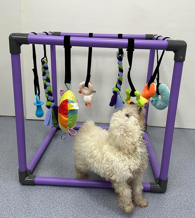 Puppy Play Gym for Small Dogs with 8 Hanging Toys, Jungle Playground with Interactive Funny Enrichment Toys to Keep Them Busy