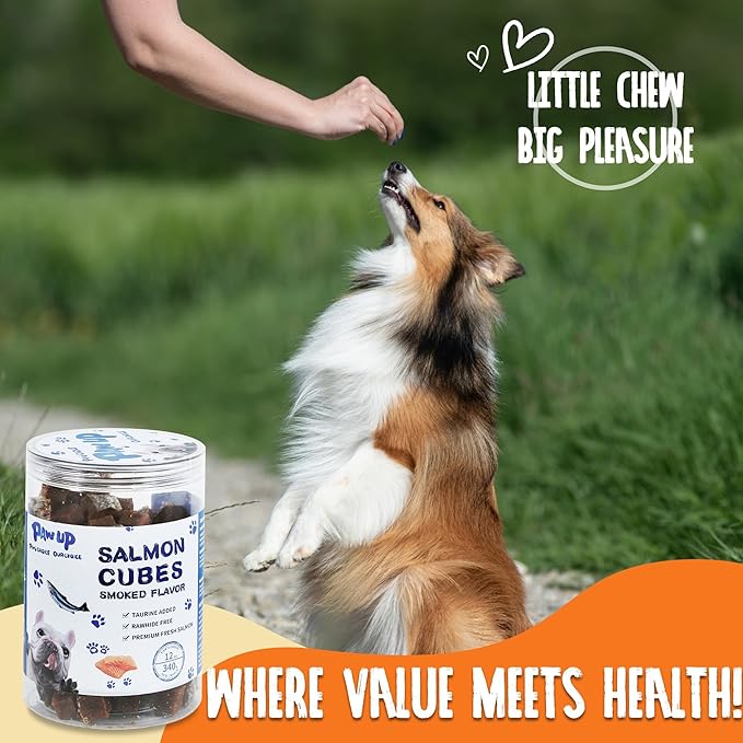 PAWUP Salmon Dog Treats, Healthy Salmon Bites, Dog Jerky Training Treats with Taurine, Rich in Omega-3, 12oz (Smoked Flavor)