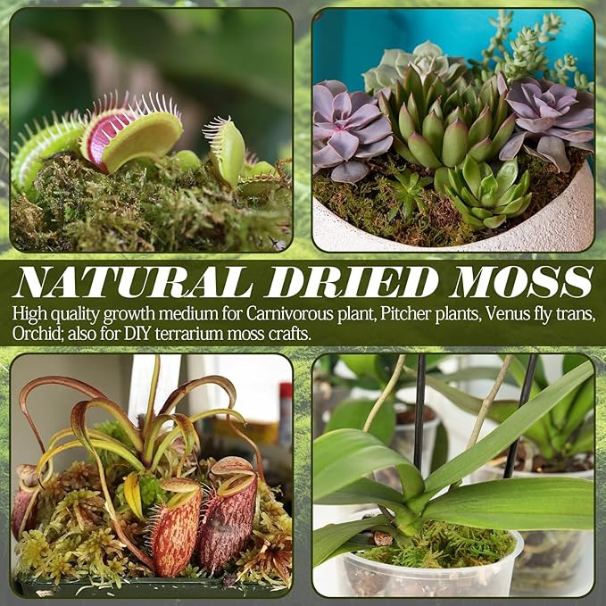 ZeeDix 0.75 lb Sphagnum Moss for Reptiles,20 qt Reptile Bedding Substrate Tank Accessories Terrarium Moss, Green Forest Moss for Leopards Geckos Snakes Turtles Frogs