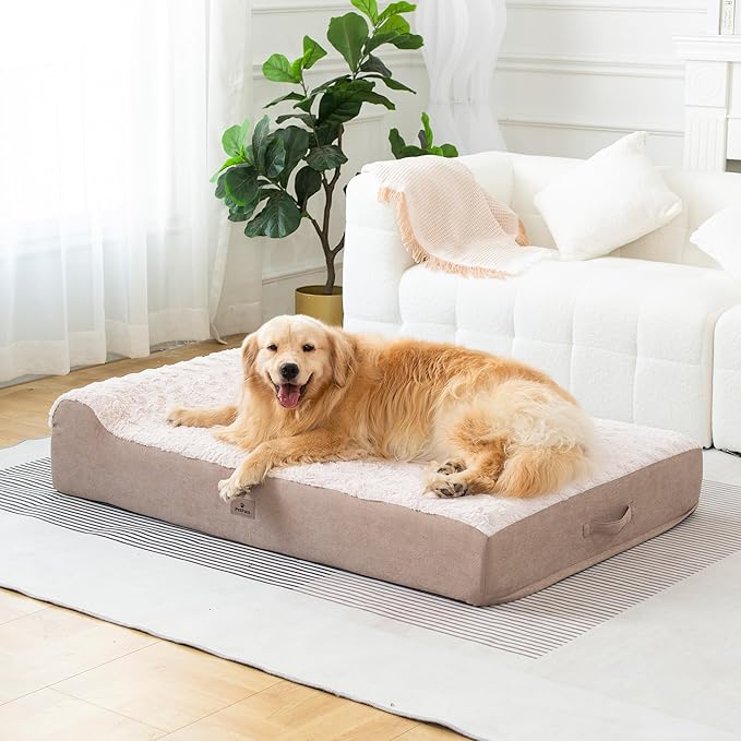 Jumbo Orthopedic Dog Bed for Large Dogs - 7-inch Thick Memory Foam Dog Bed with Pillow Removable Cover Machine Washable, Giant | 50 inch, Off-White