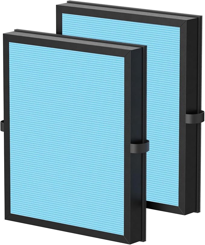 iSingo 2-Pack Air Filter Compatible