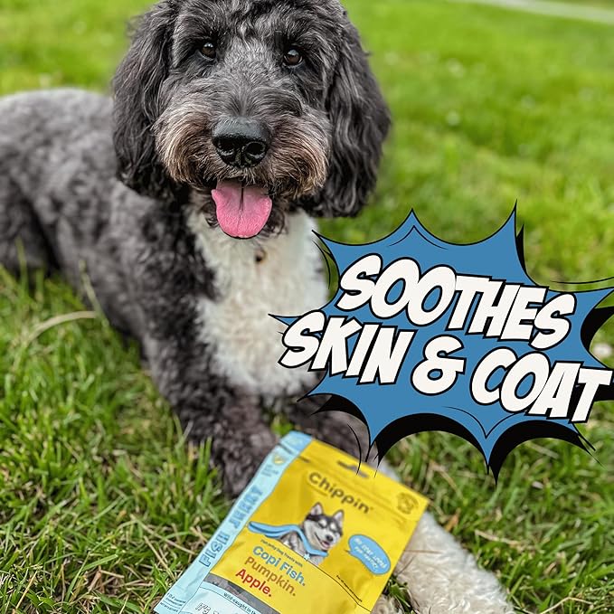 Chippin Dog Treats, Healthy Soft Chewy Treats with Fish Protein & Pumpkin, Grain Free Dog Treats for Training or Rewards for Small, Large Dogs, Natural Ingredients for Sensitive Stomach, 4 Pack